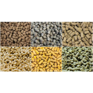 Machine robuste pour fabriquer des granulés, dimensions 700 x 450 x 800 mm