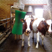 Brosse rotative verticale pour le nettoyage, le soin de la peau et le pelage de la vache - AGRICOW_3