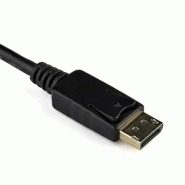 StarTech Adaptateur / Convertisseur vidéo actif DisplayPort_3