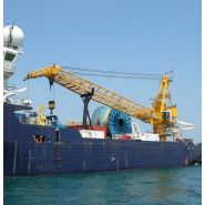 Bos 2600 - Grue portuaire offshore Liebherr - Capacité de levage max 100t - Portée max 60m_3