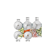 Disque pour coupe légumes SIRMAN - DF 1 - Trancher et émincer 1 à 14 mm - Fabriqué en Italie_3