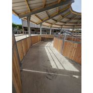 Marcheur pour chevaux_3