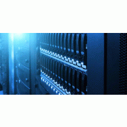 Western Digital WD161KRYZ disque dur 16 To 7200 tr/min 512 Mo 3.5