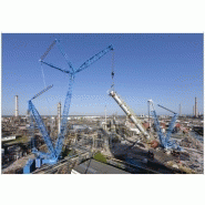 Lr 11000 grue sur chenilles_3