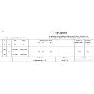 Monte-charge élévateur Type 1000.10/60 - CMC monte charges - Charge 1000 kg - Pylône autoportant en acier galvanisé_3