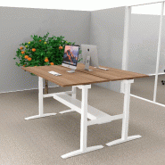 Bureau bench réglable en hauteur UP - Mobel Linea - Oui, 180, Blanc, Acacia foncé_3