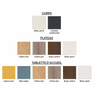 Banque d'accueil LOLA - Fabrication française - Modules personnalisables PMR et finition au choix_3