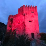 Pharos - eclairages des grands espaces - orsteel light - dimensions 335 x 120 mm_3