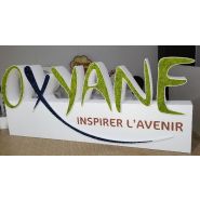 Lettres et logo végétales 3D en polystyrène - Lettres, Lichen scandinave pour l'intérieur uniquement, Violet_3