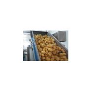 Éplucheuse industrielle Tecnocean - carottes et pommes de terre - cycle d'usinage 90-120 s_3
