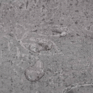 Vidaxl planches de plancher pvc 5,02 m² 2 mm autoadhésif marron ciment 146559_3