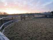 Rond de longe en bois Douglas - poteaux traités classe IV - Diamètres disponibles : 16m, 18m, 20m_3