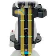 Nikon smz25-smz18 : stéréomicroscopes de recherche_3