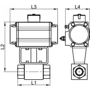 Vanne 2 voies motorisée F/F - vérin pneumatique aluminium - haute pression - filetage Gaz ou NPT_3
