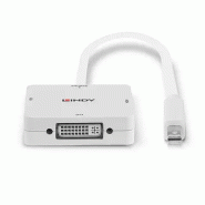 LINDY adaptateur mini dp 1.2 vers hdmi 4k30 dvi vga_3