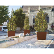 Bac à palmier Olbia carré - Réf : 201275.Gpro - Design épuré et robuste, en acier galvanisé_3