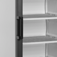 Congélateur vertical de vitrine Statique L.595mm 270L 350W TEFCOLD_3