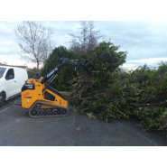 Ranger t300 elagage grappin a grumes_3