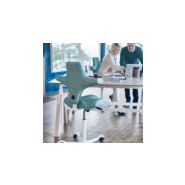 Håg Capisco - Chaise de bureau ergonomique - Inclinaison arrière réglable - Tabouret-selle ajustable_3