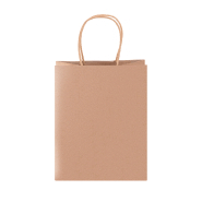 Sac cadeau Noël - Petit format en papier kraft recyclé avec motif estampillé, poignées rondes et étiquette cadeau_3