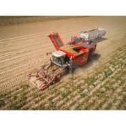Arracheuse par tamissage Kwatro - Dewulf BV - 4 rangs, largeur totale 3500 mm, moteur Scania 500 cv_4