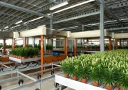 Robot horticole Linea Recta - Javo - Haute précision et vitesse pour pots ronds_3