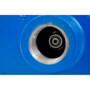 Pompe centrifuge horizontale 230V - 0.75KW/1CV - turbine en Noryl - IP44_3