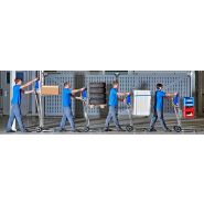 Diable de manutention - Élévateur manuel pour charges jusqu'à 120 kg - Élévation jusqu'à 1100 mm_3