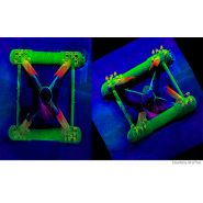 Sondeurs multifaisceaux r2sonic 2026_3