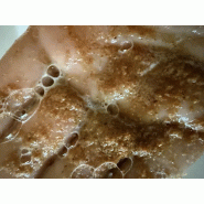 Savons lavage des mains en atelier mecanique 5 Kg_3