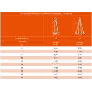 Élingue chaîne de levage 3 et 4 brins en acier grade 100 - REF : 23150Y - Capacité 2,20t à 84t - Certifiée CE_3