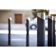 Borne Dalia - h314 - acier avec traitement Ferrus et enjoliveur inox_3