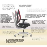 Fauteuil ergonomique G353 avec appuie-tête réglable