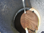 Planteuse maraîchère / légumière SuperPrefer 2 rangs - Occasion - Distance entre rangs réglable - Modèle E003530_3