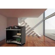 Comptoir mobile pour saisie de données et consultation