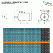 Moteur électrique triphasé 230/400V - 4 kW - 3000 tr/min - MS100L22B3 - Bride B3 à pattes_3