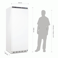 Armoire réfrigérée négative blanche - 1 porte - Série C - 600L | Polar - CD615_3