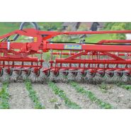 Aerostar - Fraises et herses rotatives Einboeck - Dent en acier 6.5 mm - Large gamme d'applications et désherbage efficace_3