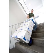 Diable électrique toutes livraisons_3