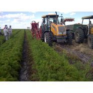 Récolteuse de carottes S2TCMR - Simon - portée avec mise en remorque et nettoyage optimisé_4