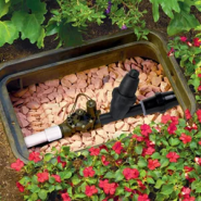 Electrovanne Toro Série EZ-Flo Plus_3