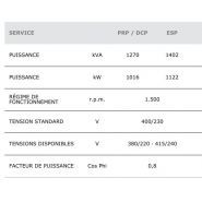 GMW-1270 T5 50 Hz triphasé - Groupe électrogène industriel insonorisé 1402 kVA - Genelec_3