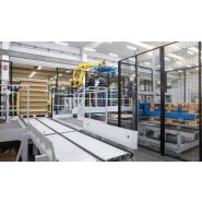 Rad EC/FC Sagittarius - Dépalettiseurs pour boîtes vides ou pleines - Clevertech France - système flexible avec tête magnétique ou à vide_3