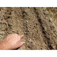 Duo Drill - Baertschi - Semoir en ligne avec épandeurs d'engrais pour cultures spéciales_3