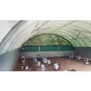 Bâtiment d'élevage pour bovin à lait - Ventilation naturelle optimale, isolation et confort acoustique - Tunnel TOUTABRI_3