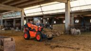 Chariot télescopique T164H - AUSA - 1600 kg - Hauteur maximale 4 mètres_3