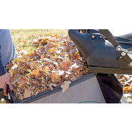 Aspirateur professionnel      Billy Goat    MV601SPDSEU - 74 cm_3