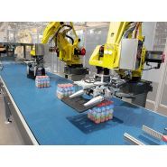 Axosmart® & RoboSmart® - Palettiseur modulaire et flexible - SIDEL - Traitement tout type d'emballage secondaire_3