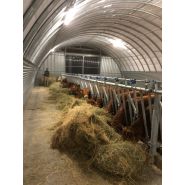 Tunnel d'élevage Abristhor sur solution béton (dalle, longrines, blocs, murs) pour un maximum de bien-être aux animaux et aux éleveurs Tunnel d'élevage Abristhor sur solution béton (dalle, longrines, blocs, murs) pour un maximum de bien-être aux animaux et aux éleveurs