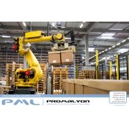 Robot paletisseur carton - sur rail - MAXIPAL